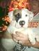  Douthit's Baby Brutus