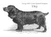 I Say (Mr. George Bell's) (~1891)