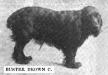 Buster Brown C