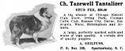  Tazewell Tantalizer (c.1916)