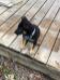 Wyatt Vom Sudenblick