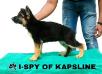 I-Spy Of Kapsline
