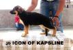 Icon Of Kapsline