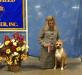 AKC Champion, RSM Champion, Giovane Promessa ENCI, JRSM Cham Princess Annamaria