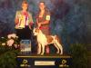 GCH CH Maddi's Mystic Chance of Blue Diamond