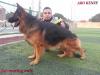 Zed Di Casa Mary