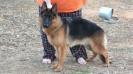 Gina von Marbo Wolf