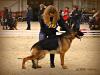De Orse Mak Flai Hunter 2