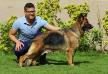 FANTA VOM EL ADHAM GSD TEAM