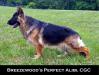  Breezewood's Perfect Alibi