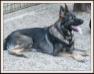  Ares (2010) JR736740