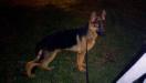 Xacks Allcco De Zamora