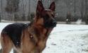  Ares Von Legendsburg