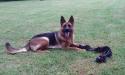  Athena Von Brotherton
