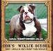  Cattle Rusler Kennel's  Willie Diesel