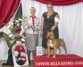 Ironstone's Golden State Warrior