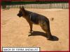 Amor de Tierra Andalusi