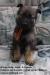 Odin Von Granville