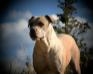 BIG SKY'S HANNAH