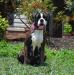 Brooklyn von haus Euro Boxx