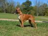 Key Largo von haus Euro Boxx