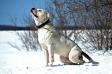 Outkast Bullies / Masterbully's Bark At The Moon of Souza