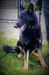  Aggy's Smokin Hot Diesel Von Kolibri