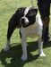 OAB’s Duke