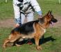 Horand del Rione Antico