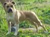  Baby Kira Pure Passion Ruffian