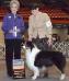 AKC CH Heatherhill Walk On By