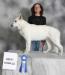 UKC Champion, WGSDCA Champion Eclipse Diamond 'n Dakota, GBF