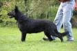 Juneau Von Lindesfarne