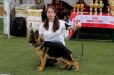Chelsea von Haus Corvinus