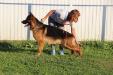De Orse Mak Flai Forward