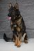 Xtreme Gangster an Barron Haus von Granville