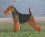 Bruhil's Sea-Aire Carsey