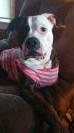  KC'S PRINCESS PENELOPE