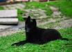 List aus Garten Nando