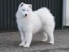  YUMI QUEEN OF THE NORTH Pagabo