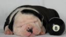 Bomberbulls Jake