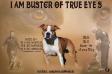  I am Buster of True Eyes