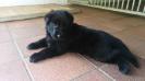 Jaker de Abrego