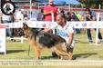 Zira Vom Cairo Kennel