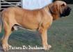 Pacara do Itanhandu