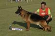 V7 (ARG) Renzo Von Dall'Gama