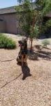 Lycan von der canyon