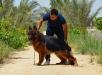 Alex vom royal kennel