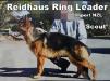 REIDHAUS RING LEADER