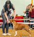 BIS PUPPY-4.J.CH. RUS.J.CH.RKF Pride Spartanis Origona